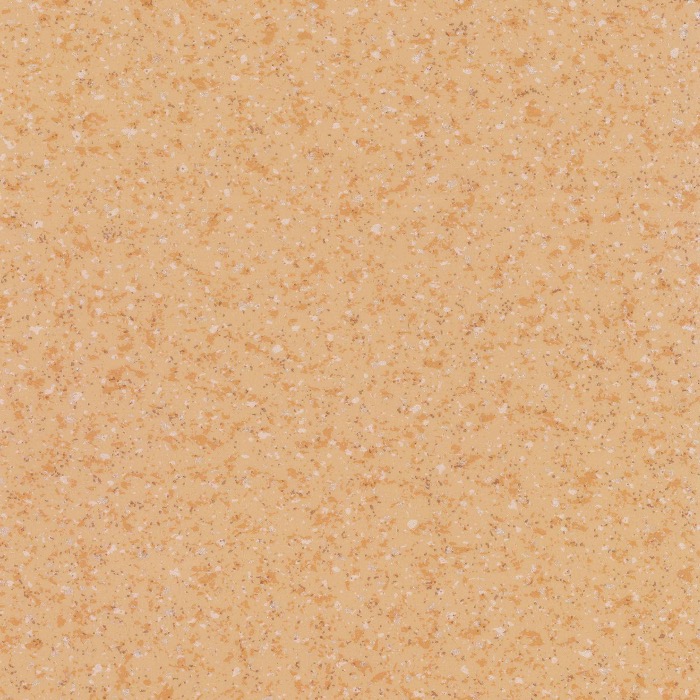 FN6003(圖1)