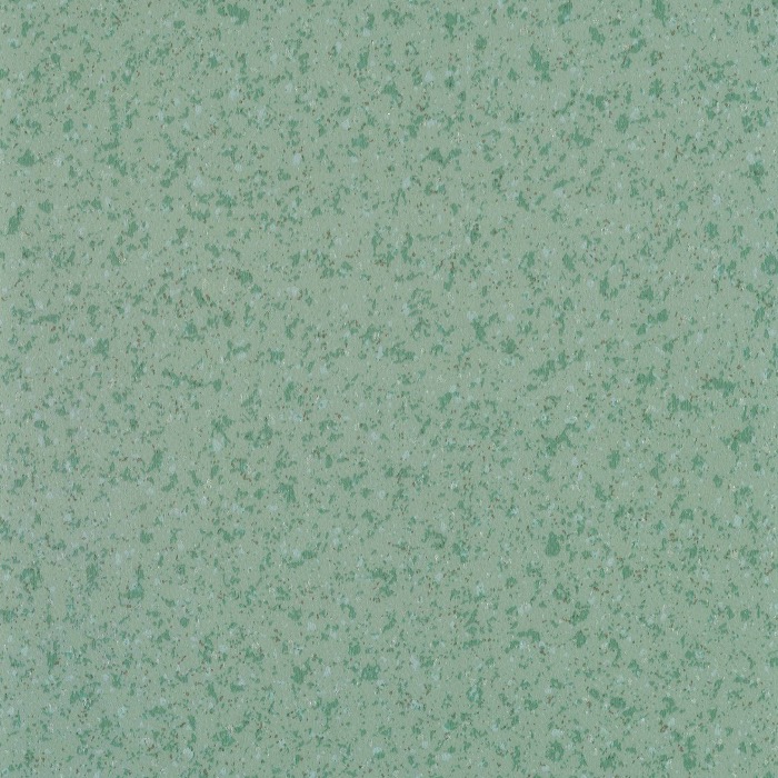 FN6004(圖1)