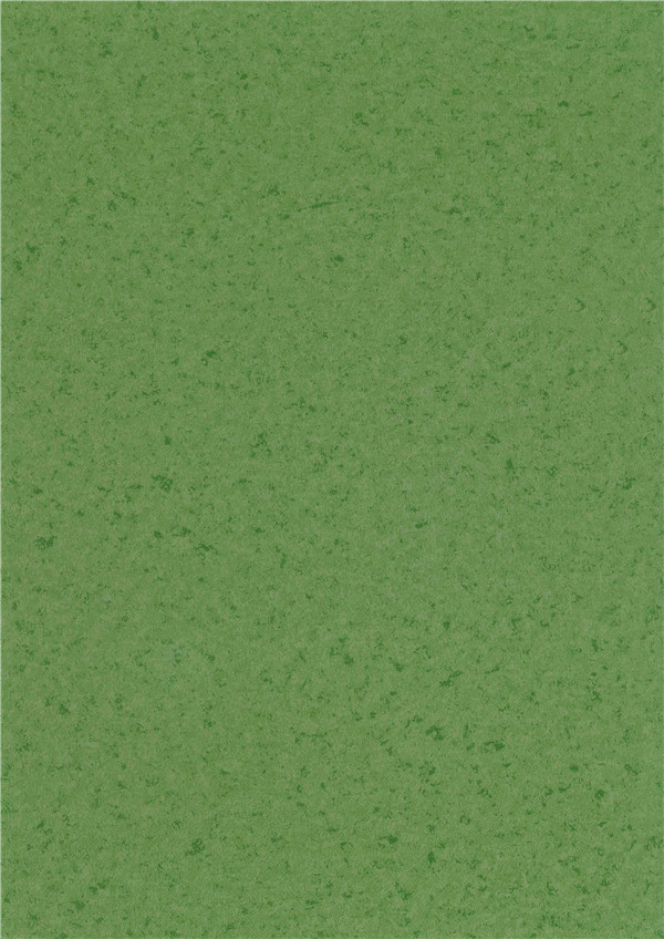SY2008(圖1)