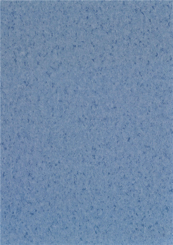 SY2009(圖1)