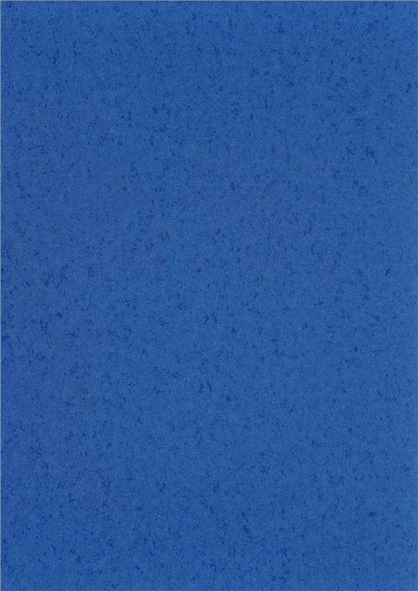 SY2010(圖1)