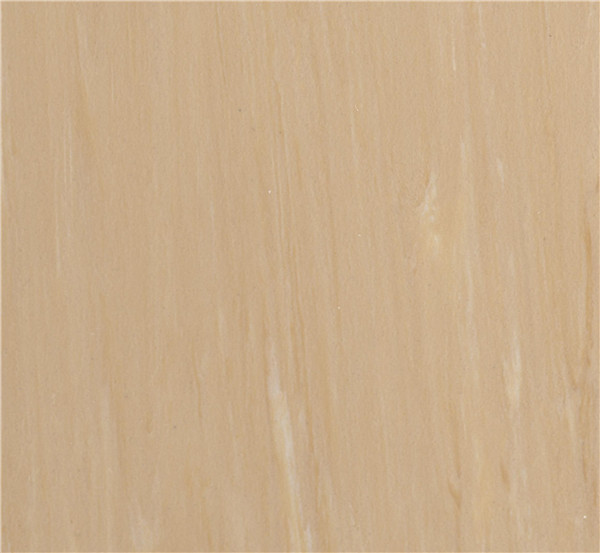 SC005(圖1)